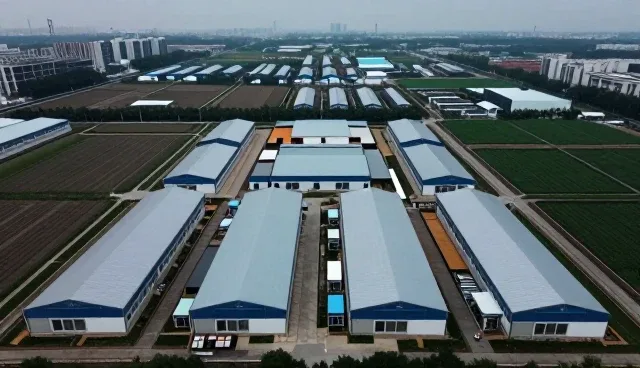 技术方案设计中常见问题与应对策略